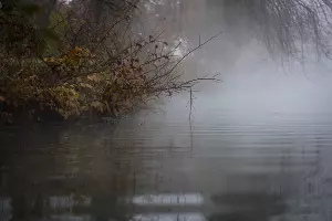 Туман в парке «Солнечный остров» &copy;&nbsp;Фото Елены Синеок, Юга.ру