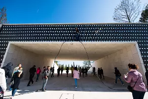  &copy;&nbsp;Фото Елены Синеок, Юга.ру