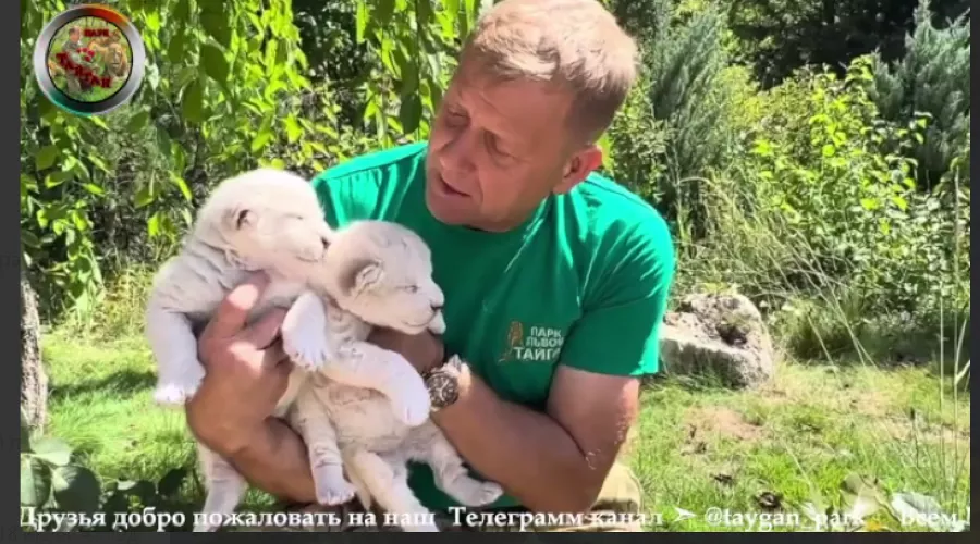  &copy;&nbsp;Скриншот из телеграм-канала &laquo;Парк Тайган&raquo; https://t.me/taygan_park/10265