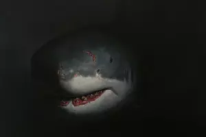 Работа Василия Карпенко &copy;&nbsp;Скриншот фото из письма от пресс-службы Краснодарского краевого выставочного зала