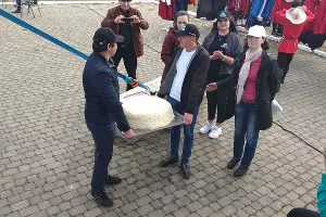 Самый большой круг адыгейского сыра &copy;&nbsp;Фото Елены Малышевой, Юга.ру