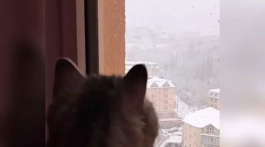  &copy;&nbsp;Скриншот видео из инстаграма crazymflove797, instagram.com/crazymflove797/