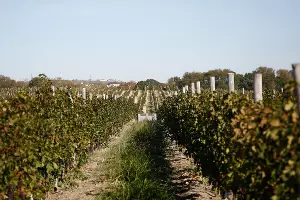  &copy;&nbsp;Фото Влада Александрова, Юга.ру