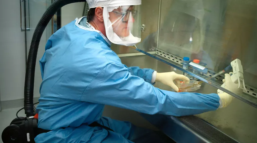  &copy;&nbsp;Фото CDC, unsplash.com