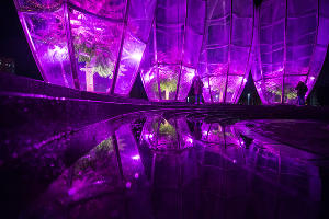 Парк «Краснодар»  с новогодней подсветкой &copy;&nbsp;Фото Елены Синеок, Юга.ру