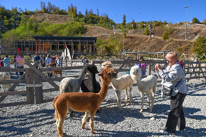  © Фото пресс-службы курорта «Роза Хутор»