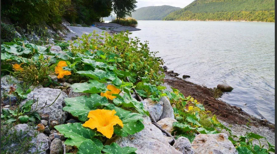  &copy;&nbsp;Скриншот фото из телеграм-канала &laquo;Абрау-Дюрсо в фотографии&raquo;