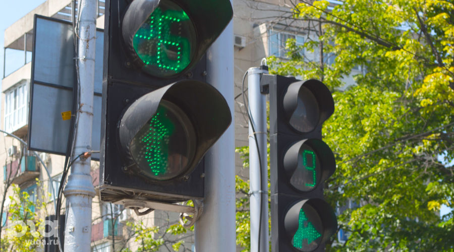  © Фото Дмитрия Леснова, Юга.ру