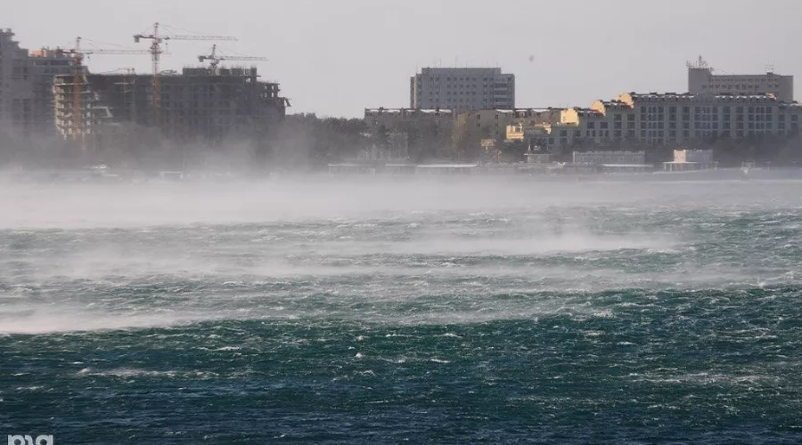  &copy;&nbsp;Фото Елены Синеок, Юга.ру