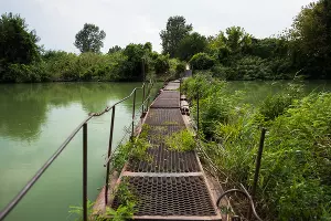 Озеро Старая Кубань &copy;&nbsp;Фото Елены Синеок, Юга.ру