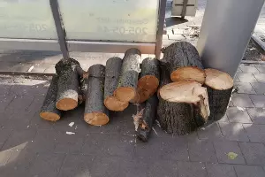  &copy;&nbsp;Фото пресс-службы администрации Краснодара