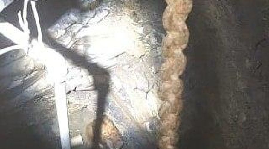  © Фото из инстаграма руководителя «Службы спасения» Новороссийска Алексея Одерова, instagram.com/alekseioderov/