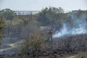  &copy;&nbsp;Фото Sega Black-Sea