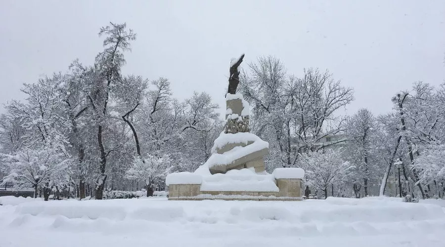  &copy;&nbsp;Фото Олеси Шубиной, Юга.ру
