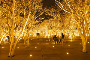 Новогодний парк &laquo;Краснодар&raquo; &copy;&nbsp;Фото Дениса Яковлева, Юга.ру