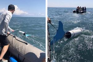 Тренинг по спасению дельфинов © Скриншоты фото с сайта «Друзья океана»