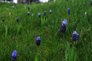  &copy;&nbsp;Фото Марины Солошко, Юга.ру