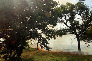 Возгорание сухой травы © Фото Евгения Мельченко, Юга.ру