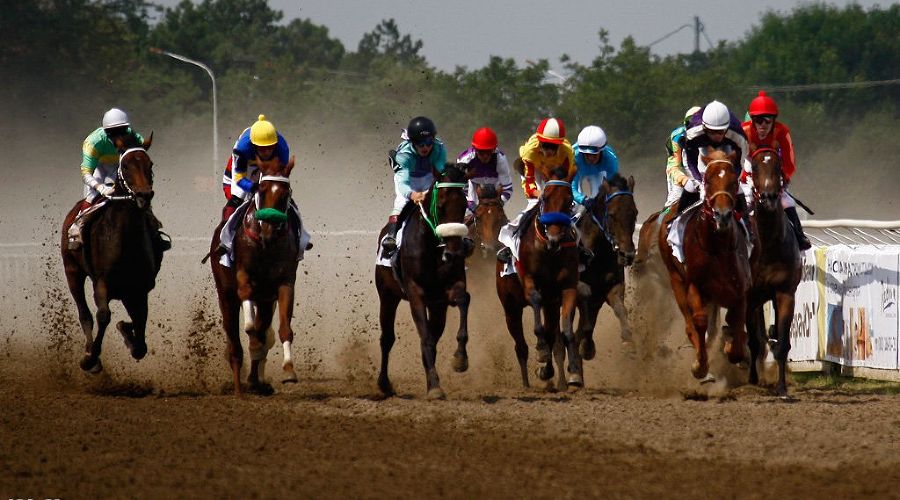 Губернаторские скачки &copy;&nbsp;Влад Александров, ЮГА.ру