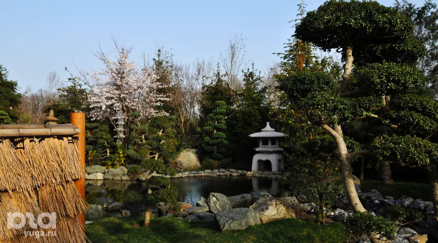  &copy;&nbsp;Фото Марины Солошко, Юга.ру