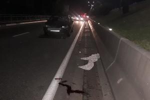  © Фото отделения по пропаганде безопасности дорожного движения ОГИБДД УВД по Сочи