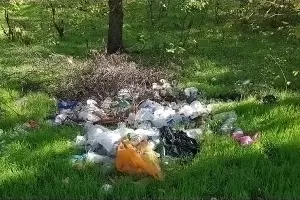  &copy;&nbsp;Фото пресс-службы ОНФ Ростовской области