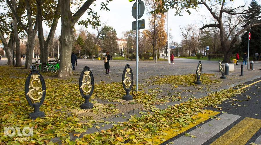  &copy;&nbsp;Фото Елены Синеок, Юга.ру