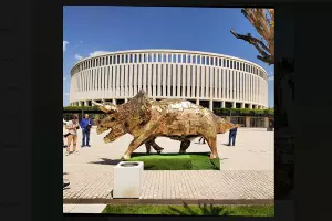  &copy;&nbsp;Скриншот фото из телеграм-канала творческой студии Stenaclub