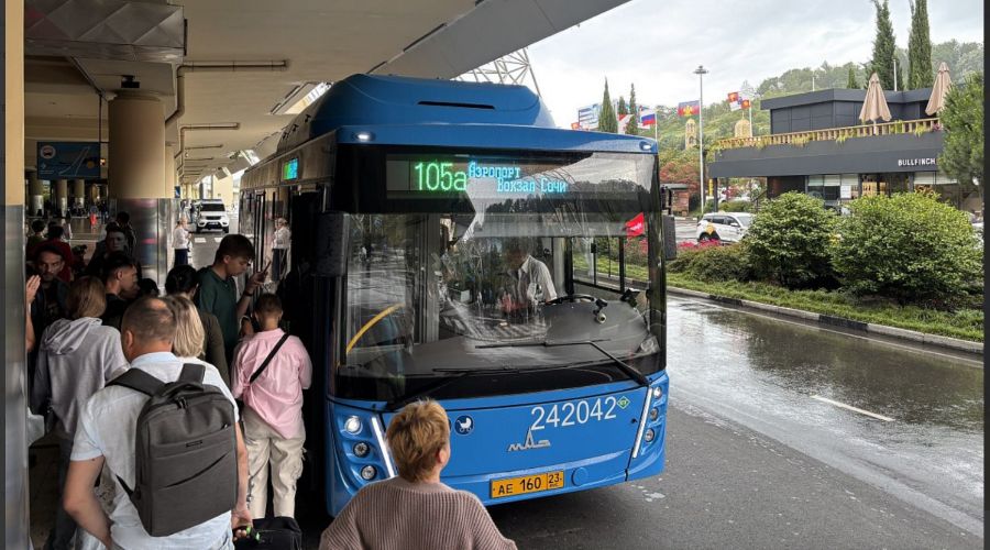  © Скриншот из телеграм-канала мэрии Сочи https://t.me/officialsochi/53385