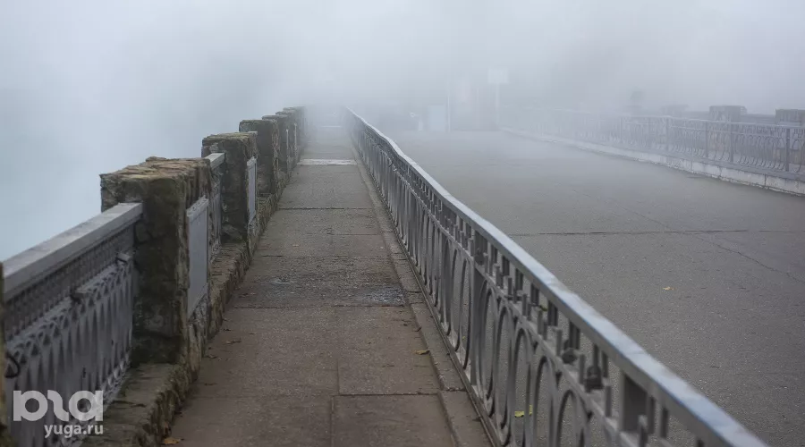  &copy;&nbsp;Фото Елены Синеок, Юга.ру