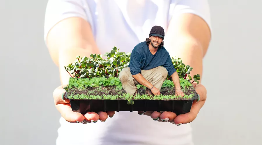  &copy;&nbsp;Коллаж Дмитрия Пославского, Юга.ру