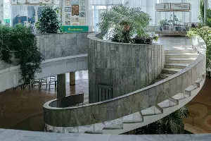 Музей Дерева Дружбы в Сочи &copy;&nbsp;Фото Юли Шафаростовой, Юга.ру