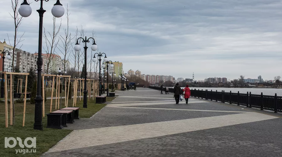 Аллея в честь 80-летия образования Краснодарского края &copy;&nbsp;Фото Елены Синеок, Юга.ру