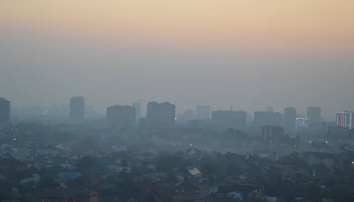 «Начался сезон рисовой вони»