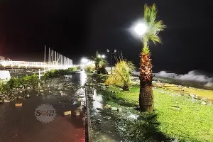  &copy;&nbsp;Фото из канала в телеграме &laquo;Сочи Онлайн&raquo;