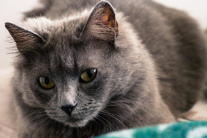  &copy;&nbsp;Фото wirestock с сайта https://www.magnific.com