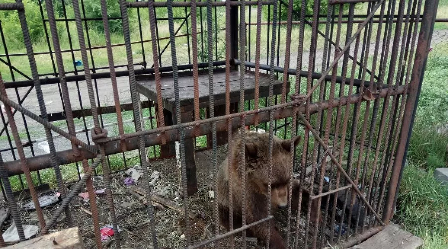  &copy;&nbsp;Фото из группы &laquo;Ростов Главный - новости Ростова-на-Дону&raquo; &laquo;ВКонтакте&raquo;, vk.com/rostovnadonu