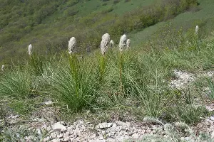  &copy;&nbsp;Фото Романа Мнацеканова / WWF России