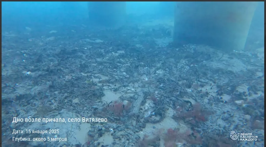  &copy;&nbsp;Скриншот из телеграм-канала &laquo;Земля касается каждого&raquo; https://t.me/earthtouches_me/6178