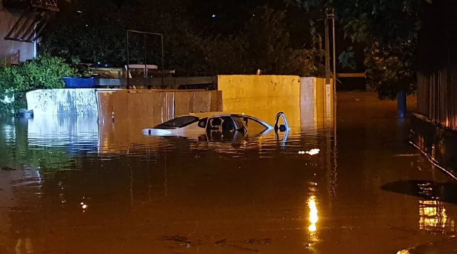  &copy;&nbsp;Фото из телеграм-канала &laquo;Типичный Сочи&raquo;, t.me/sochitypical