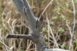  &copy;&nbsp;Фото Евгения Мельченко, Юга.ру