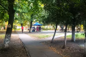 Выборы главы Краснодарского края и депутатов городской думы Краснодара &copy;&nbsp;Фото Сергея Бурцева