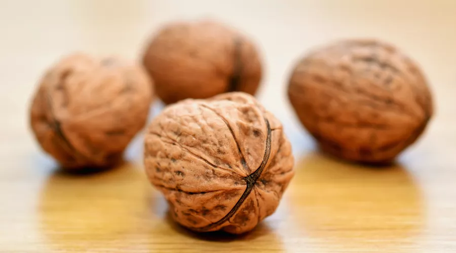  &copy;&nbsp;Фото Pixabay, pexels.com