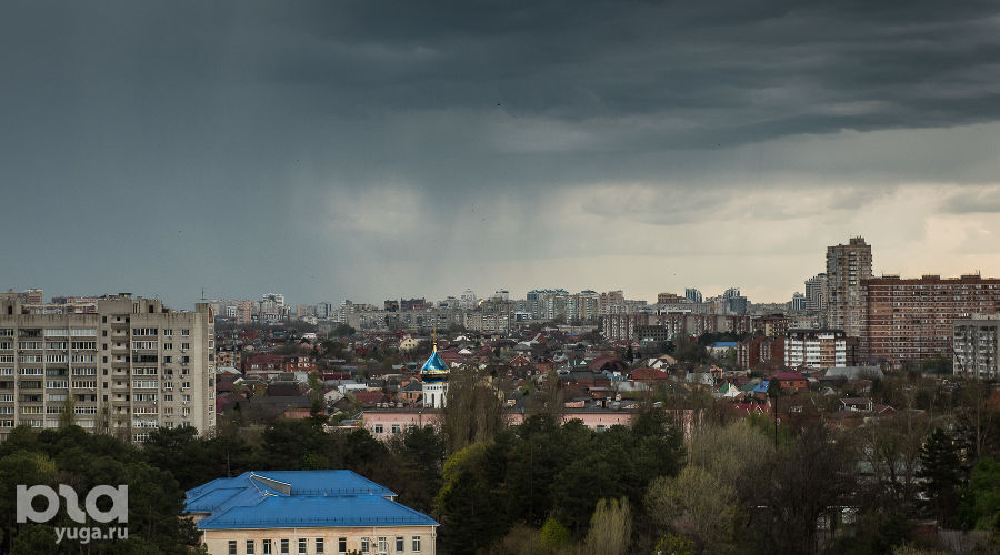  © Фото Елены Синеок, Юга.ру