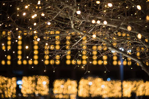 Парк «Краснодар» &copy;&nbsp;Фото Елены Синеок, Юга.ру