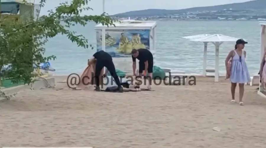  &copy;&nbsp;Скриншот видео из телеграм-канала &laquo;Чп Краснодара&raquo;, t.me/chpkrasnodara