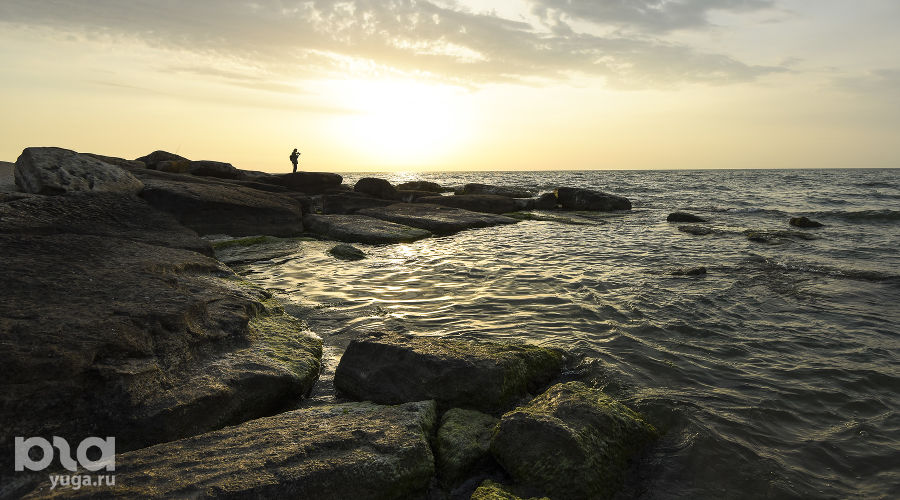 © Фото Елены Синеок, Юга.ру