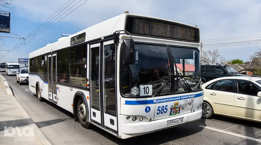  &copy;&nbsp;Фото Елены Синеок, Юга.ру