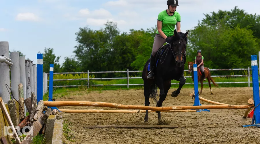  &copy;&nbsp;Фото Елены Синеок, Юга.ру