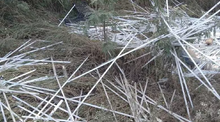  &copy;&nbsp;Фото пресс-службы администрации Краснодара